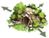 Carcassonne magicportal.png